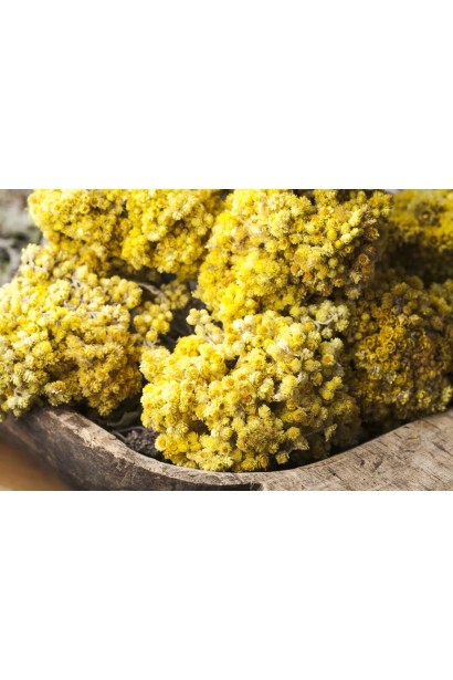 Безсмертник піщаний Талл Керр сухоцвіт